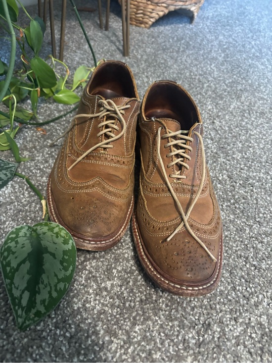Allen Edmonds Neumok Wingtip Oxford Shoes | Men’s 9.5